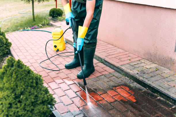 Best Animal Enclosure Cleaning  in Union Gap, WA